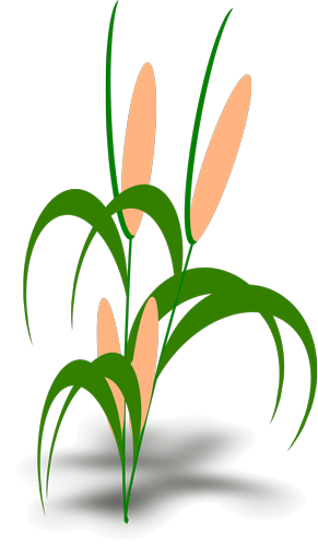 Farmer Illustration